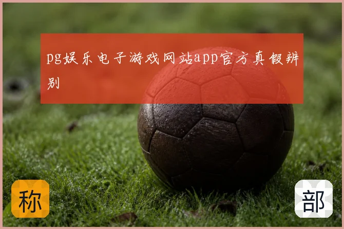 pg娱乐电子游戏网站app官方真假辨别