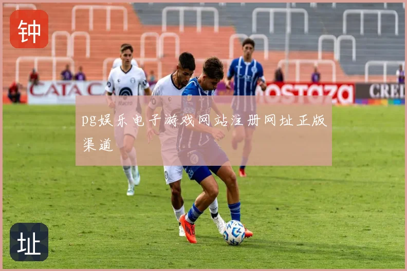 pg娱乐电子游戏网站注册网址正版渠道